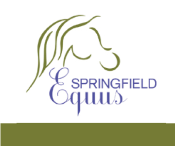Springfield Equus Website Design