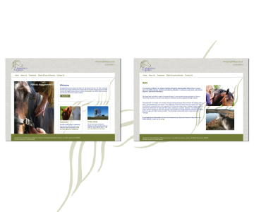 Springfield Equus Website Design